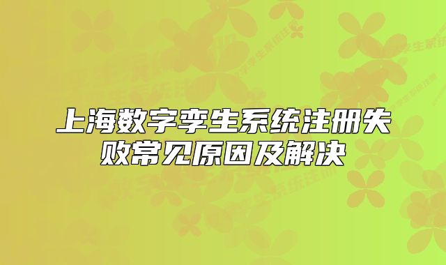 上海数字孪生系统注册失败常见原因及解决