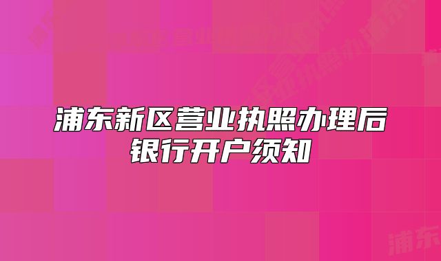 浦东新区营业执照办理后银行开户须知