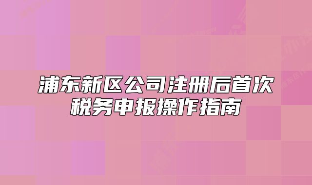 浦东新区公司注册后首次税务申报操作指南