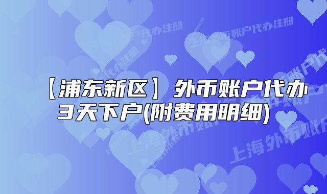 【浦东新区】外币账户代办3天下户(附费用明细)