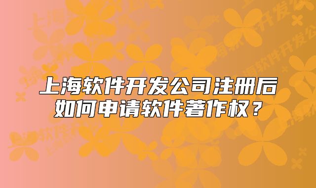上海软件开发公司注册后如何申请软件著作权？