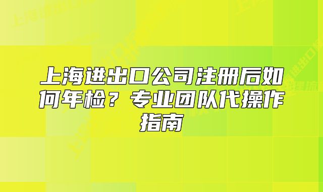 上海进出口公司注册后如何年检?专业团队代操作指南