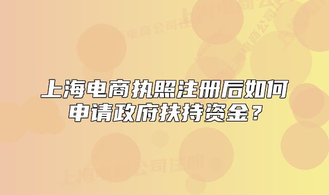 上海电商执照注册后如何申请政府扶持资金？