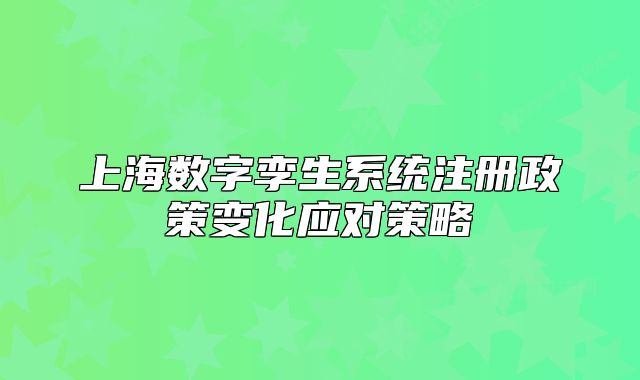 上海数字孪生系统注册政策变化应对策略