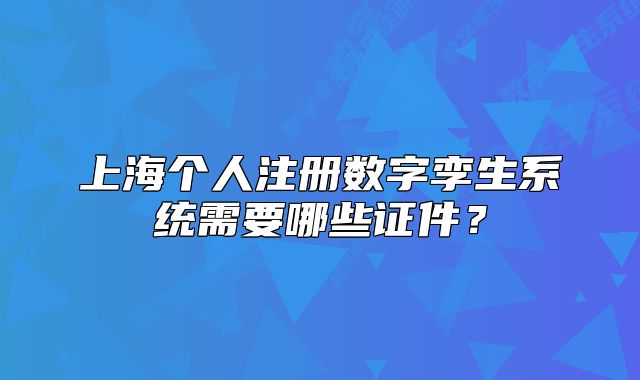 上海个人注册数字孪生系统需要哪些证件?