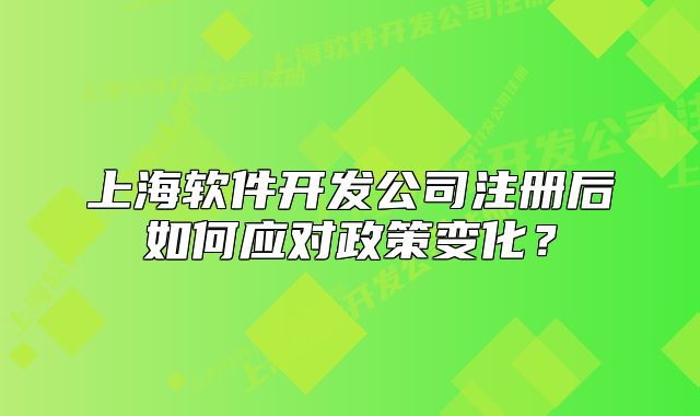 上海软件开发公司注册后如何应对政策变化?