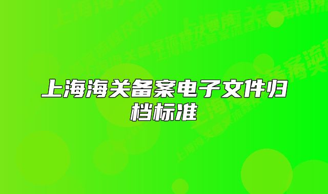 上海海关备案电子文件归档标准