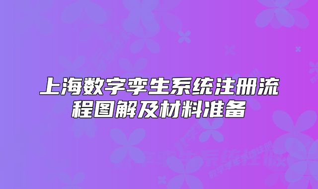 上海数字孪生系统注册流程图解及材料准备
