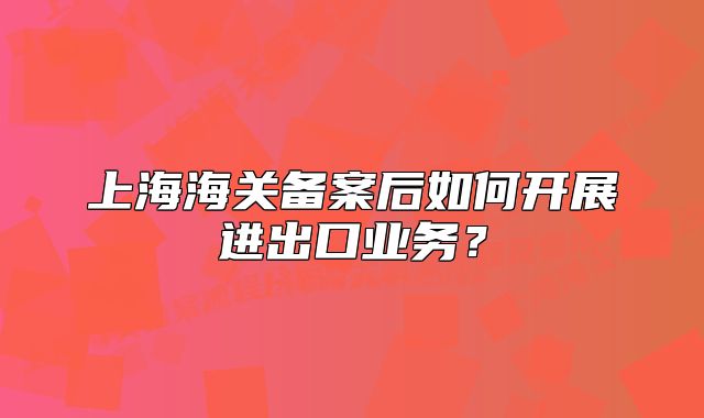 上海海关备案后如何开展进出口业务?