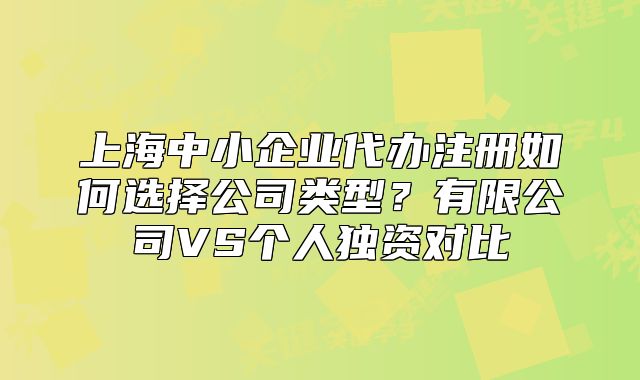 上海中小企业代办注册如何选择公司类型？有限公司VS个人独资对比