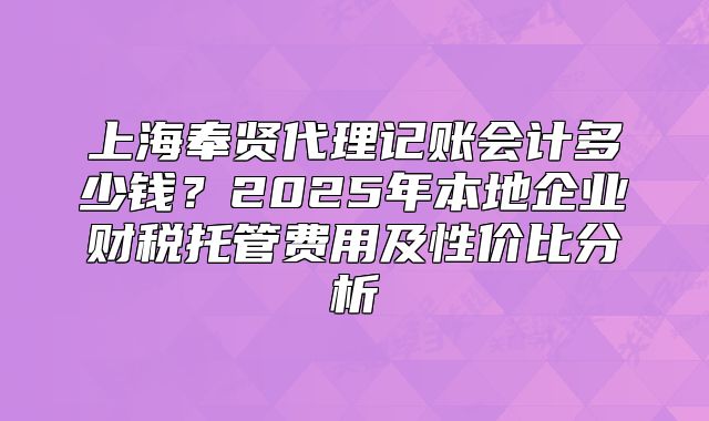 上海奉贤代理记账会计多少钱？2025年本地企业财税托管费用及性价比分析