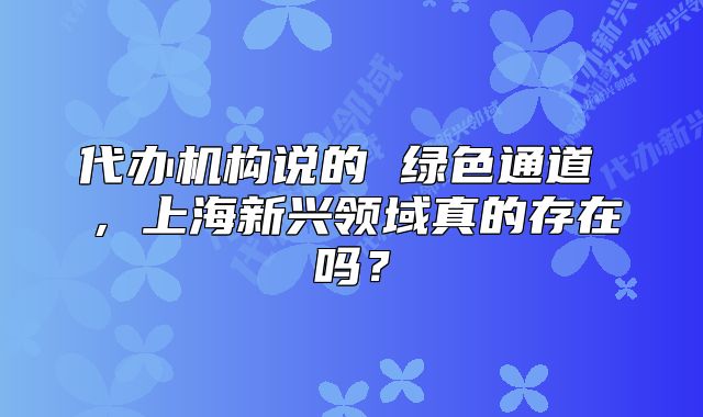 代办机构说的 绿色通道 ,上海新兴领域真的存在吗?