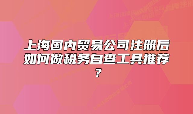 上海国内贸易公司注册后如何做税务自查工具推荐?