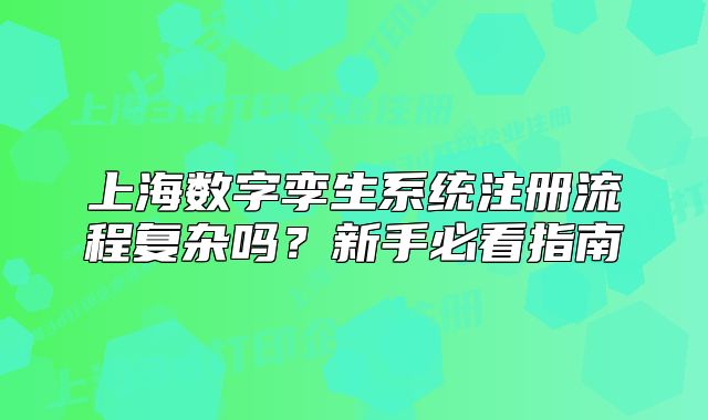 上海数字孪生系统注册流程复杂吗？新手必看指南