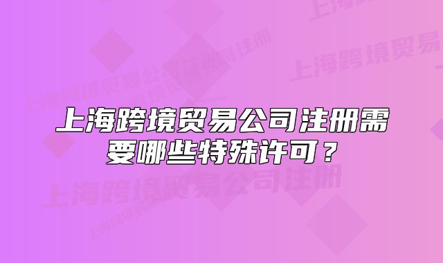 上海跨境贸易公司注册需要哪些特殊许可?