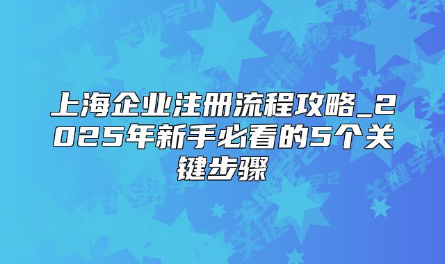 上海企业注册流程攻略_2025年新手必看的5个关键步骤
