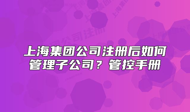 上海集团公司注册后如何管理子公司？管控手册