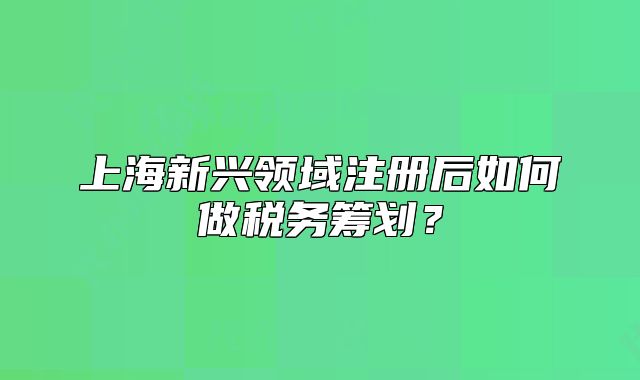 上海新兴领域注册后如何做税务筹划?