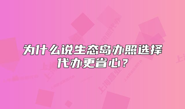 为什么说生态岛办照选择代办更省心?