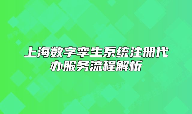 上海数字孪生系统注册代办服务流程解析