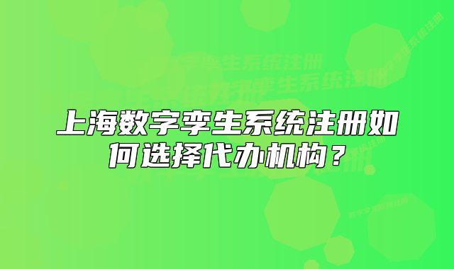上海数字孪生系统注册如何选择代办机构？
