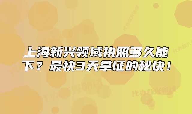 上海新兴领域执照多久能下?最快3天拿证的秘诀!