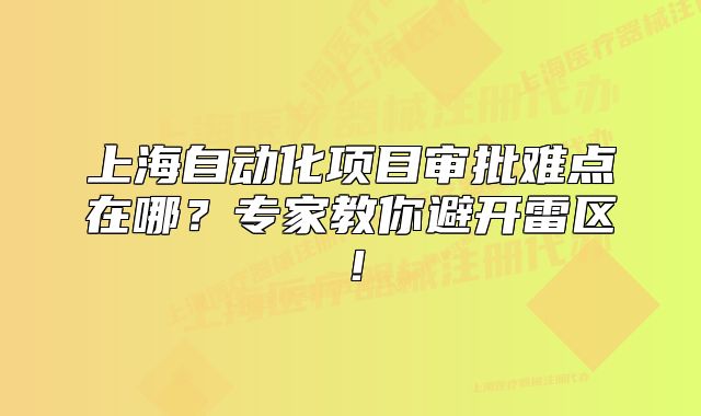 上海自动化项目审批难点在哪？专家教你避开雷区！