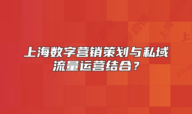 上海数字营销策划与私域流量运营结合？