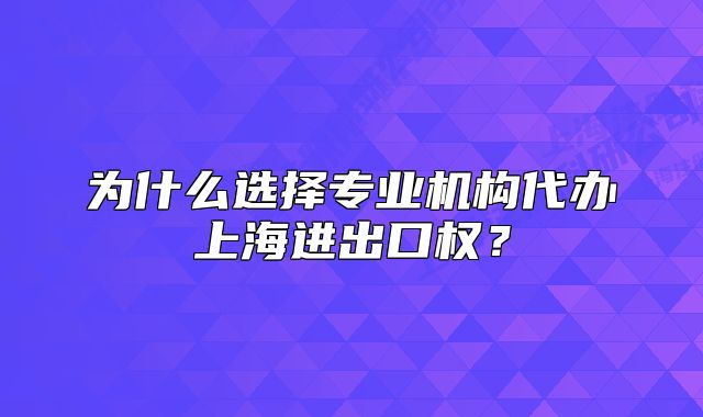 为什么选择专业机构代办上海进出口权？