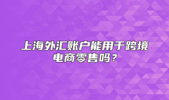 上海外汇账户能用于跨境电商零售吗?