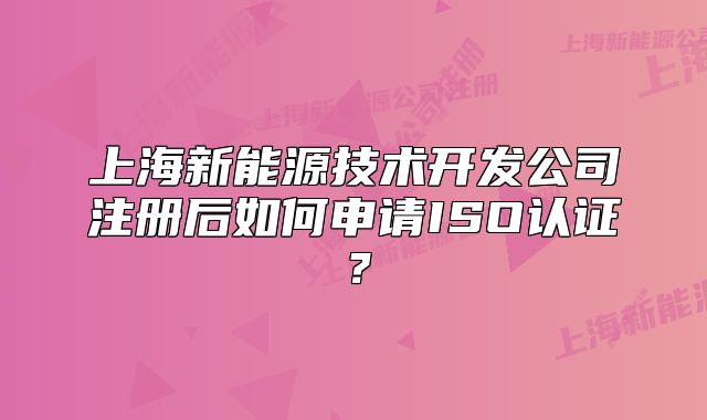 上海新能源技术开发公司注册后如何申请ISO认证?