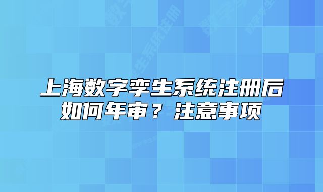 上海数字孪生系统注册后如何年审?注意事项
