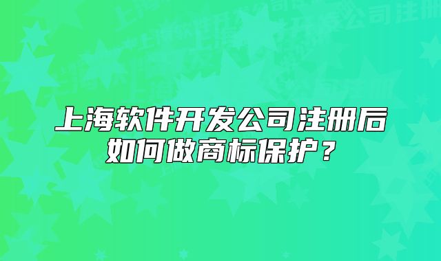 上海软件开发公司注册后如何做商标保护?