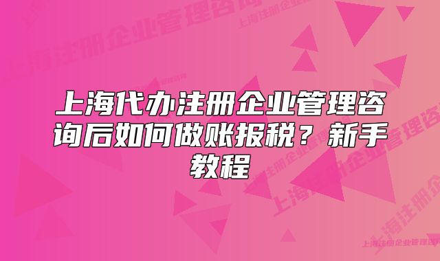 上海代办注册企业管理咨询后如何做账报税？新手教程