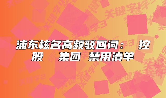 浦东核名高频驳回词: 控股 集团 禁用清单