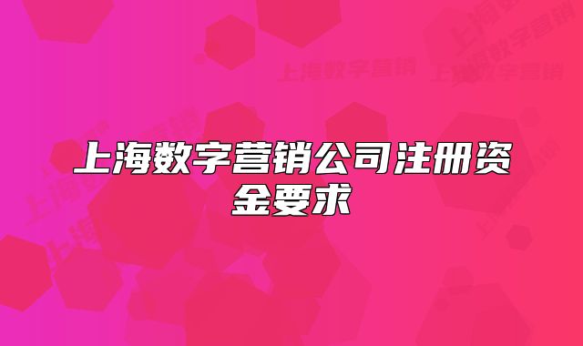 上海数字营销公司注册资金要求