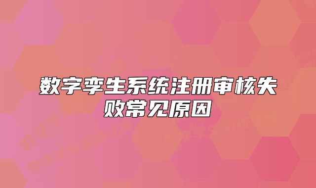 数字孪生系统注册审核失败常见原因