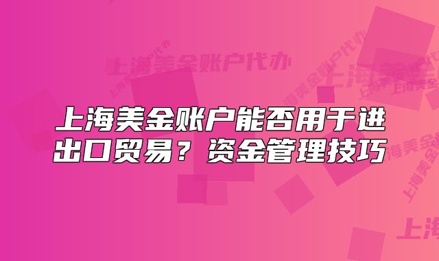 上海美金账户能否用于进出口贸易?资金管理技巧