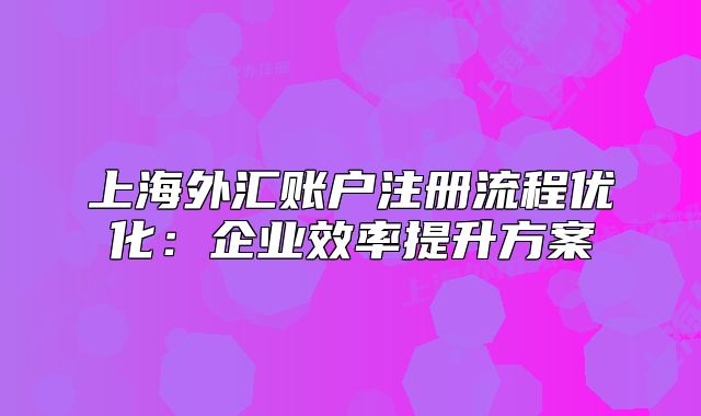 上海外汇账户注册流程优化：企业效率提升方案