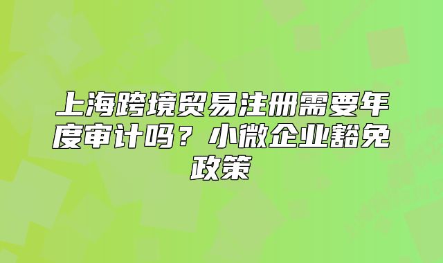 上海跨境贸易注册需要年度审计吗?小微企业豁免政策
