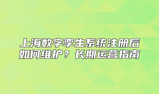 上海数字孪生系统注册后如何维护?长期运营指南