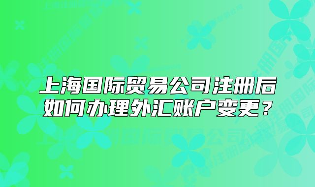 上海国际贸易公司注册后如何办理外汇账户变更？