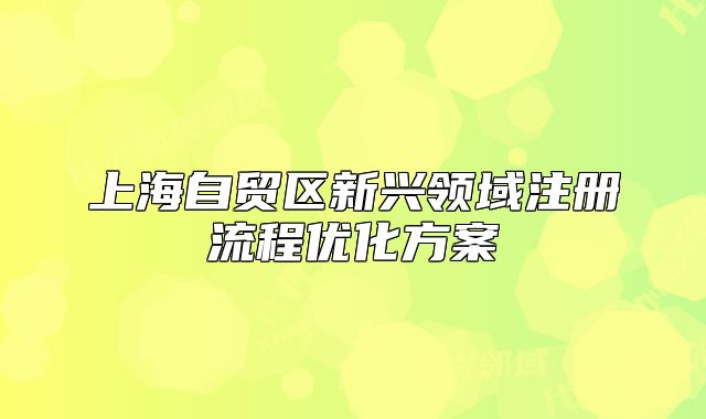 上海自贸区新兴领域注册流程优化方案