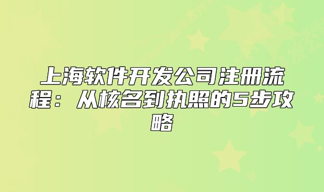上海软件开发公司注册流程:从核名到执照的5步攻略