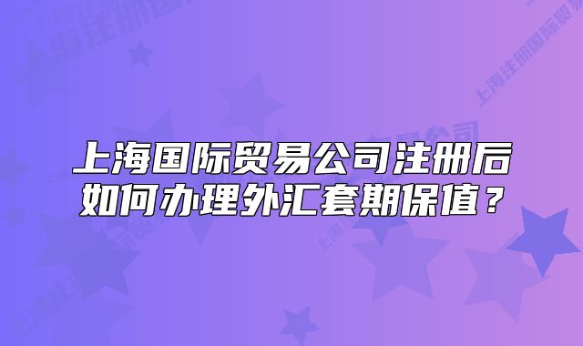 上海国际贸易公司注册后如何办理外汇套期保值？