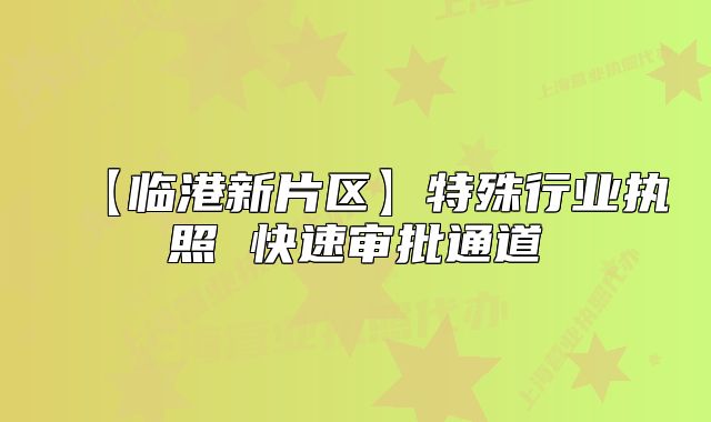 【临港新片区】特殊行业执照 快速审批通道