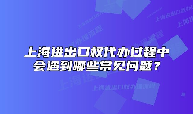 上海进出口权代办过程中会遇到哪些常见问题？
