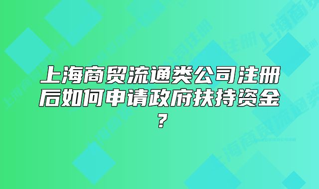 上海商贸流通类公司注册后如何申请政府扶持资金?