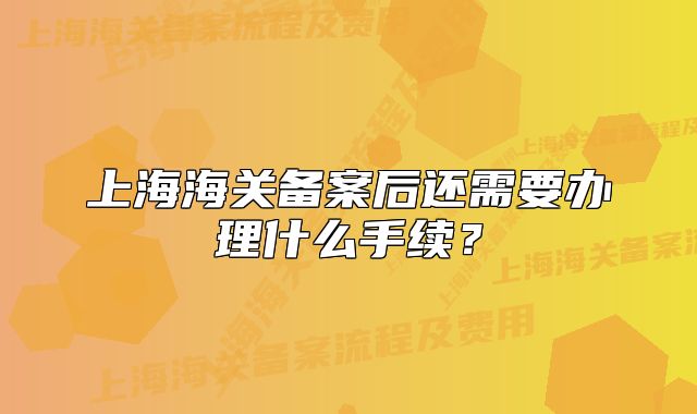 上海海关备案后还需要办理什么手续?
