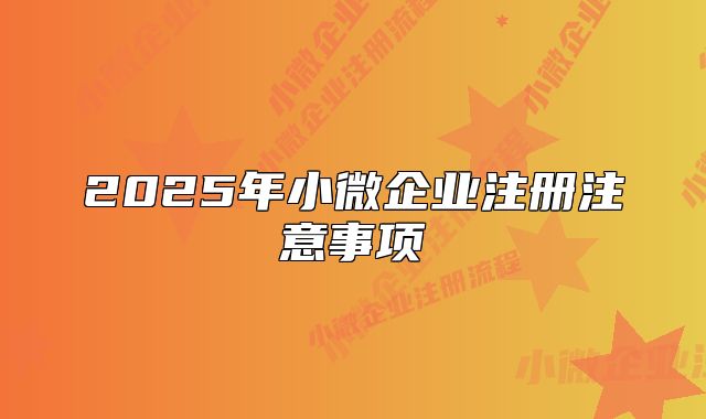 2025年小微企业注册注意事项